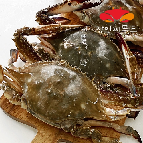 장안씨푸드 국내산 가을 햇꽃게 특대 대사이즈1kg (1개)