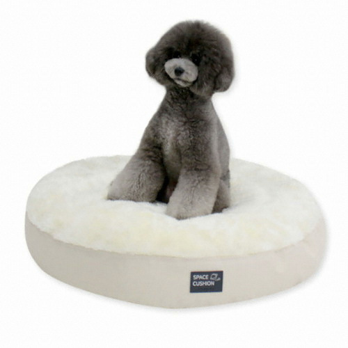 �������Ͽ콺 ���߷� ���ֹ漮 �ܿ��