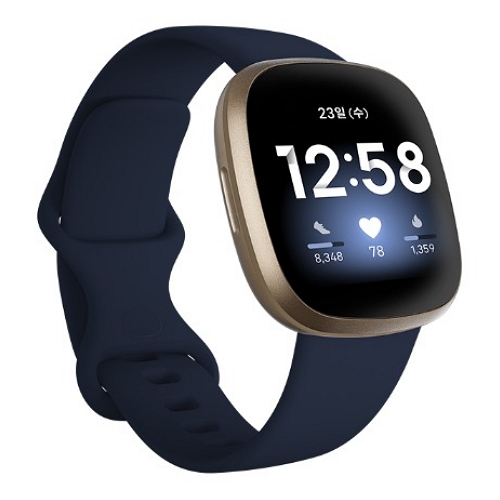 Google 핏빗 Versa 3 (정품)
