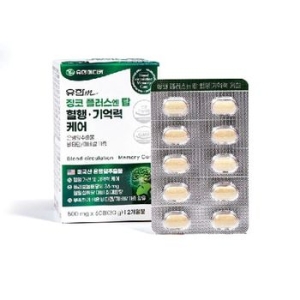 유한메디카 징코 플러스 엔 탑 혈행 기억력 케어 500mg 60정 (3개)