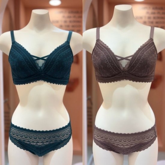 비너스 란제리 E컵F컵 전중심 더블 코르셋 모아주는 더블윙 보정 몰드 브래지어+레이스 팬티 VBRG620E_F VPTG620S V..