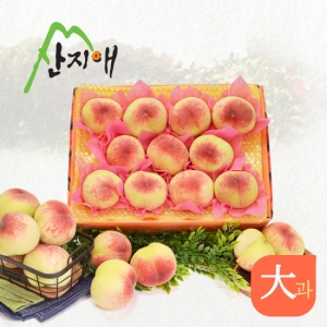 산지애 아삭아삭 햇복숭아 3kg (1개)_이미지