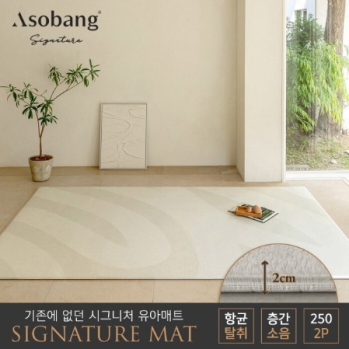 파크론 아소방 아소방 시그니처 놀이방매트 발렌시아 250x150x2cm (2개)