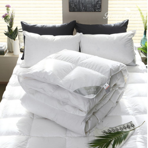 �ٿ�ƼǮ Ư��ȣ�� ħ�� �����ٿ� 93% �Ѱܿ�� �̺Ҽ�