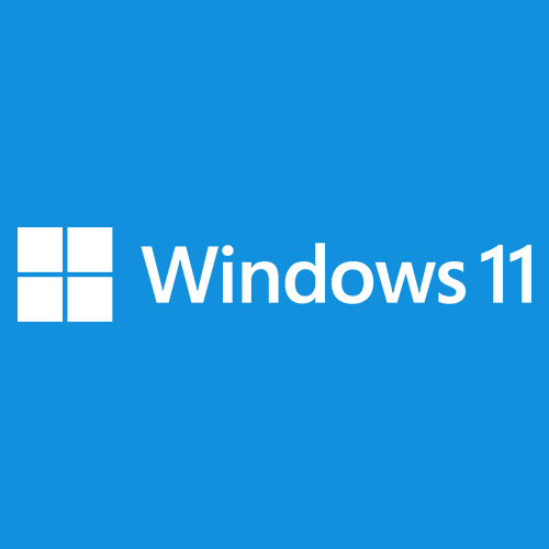 Microsoft Windows 11 Home (OEM 라이선스)_이미지