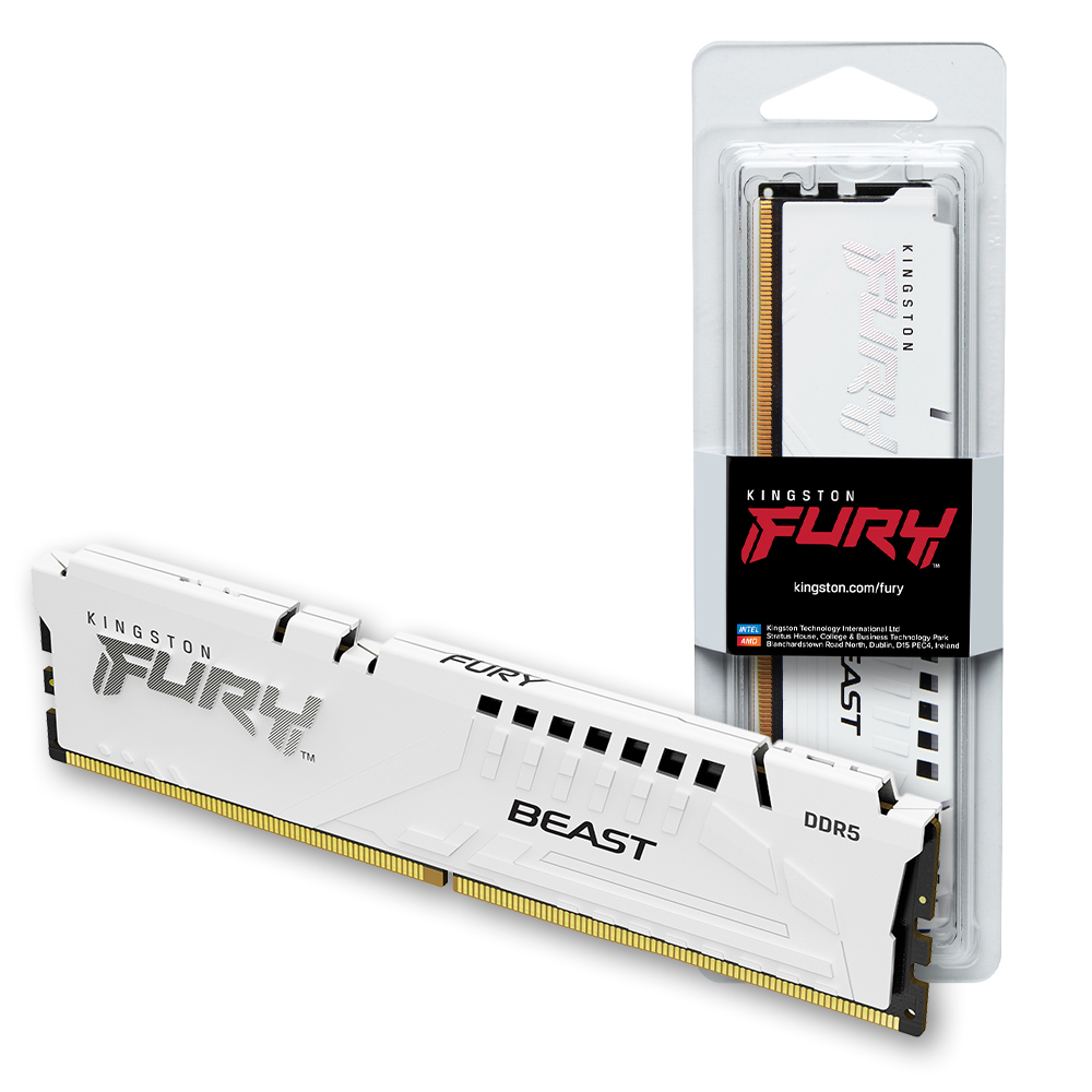 ŷ���� FURY DDR5-5600 CL36 Beast ȭ��Ʈ ����