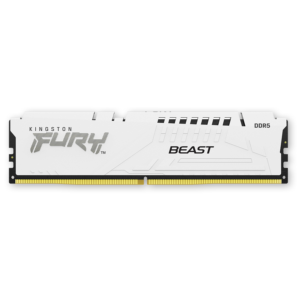 킹스톤 FURY DDR5-5600 CL36 Beast 화이트 코잇 (32GB)_이미지