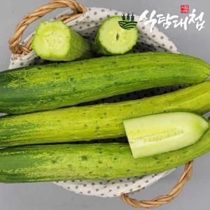 이마트 백<b>오이</b> 5입
