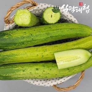 이마트 백<b>오이</b> 5입