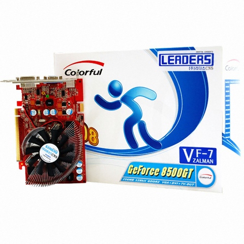 ������ �ý����� ������ 8500GT Colorful 256MB �߸�
