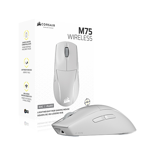 CORSAIR M75 RGB ������ ���� �����