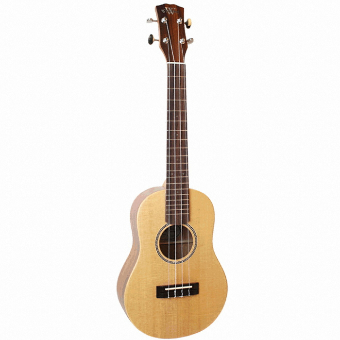 와일드우드 WT-600S