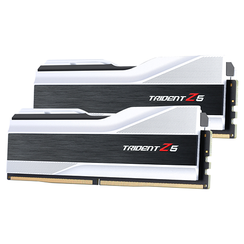 G.SKILL DDR5-5600 CL40 TRIDENT Z5 실버 패키지 (32GB(16Gx2))_이미지