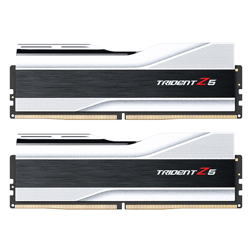 G.SKILL DDR5-5600 CL40 TRIDENT Z5 실버 패키지 (32GB(16Gx2))_이미지
