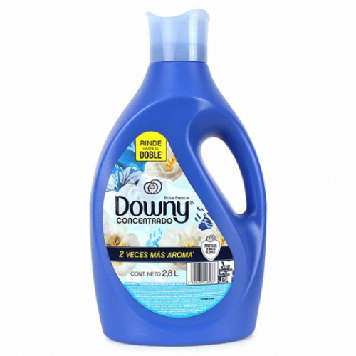 다우니 브리사 프레스카 2.8L