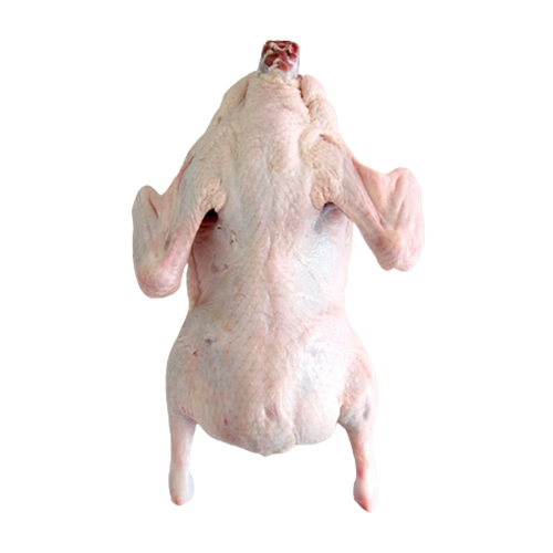 다모아영농조합법인 무항생제 국내산 생 오리 통오리 2kg (1개)_이미지