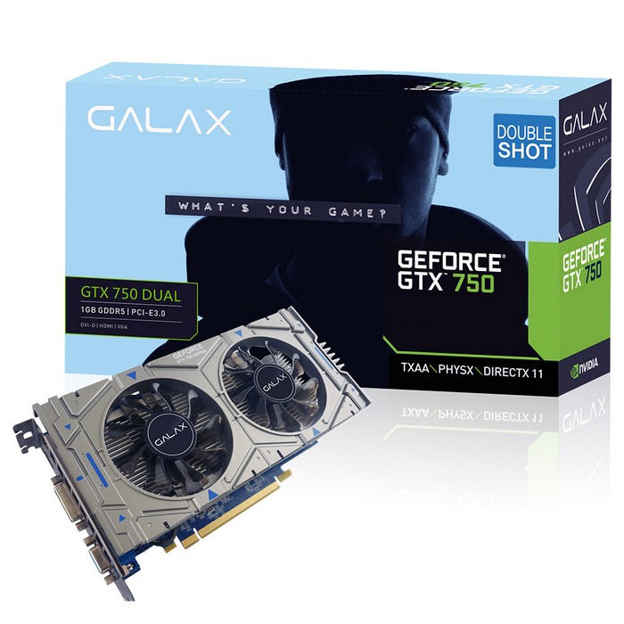 갤럭시 GALAX 지포스 GTX750 Double Shot D5 1GB