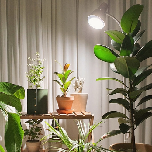 필립스 LED PAR30 스팟 가정용 식물 조명 10W_이미지