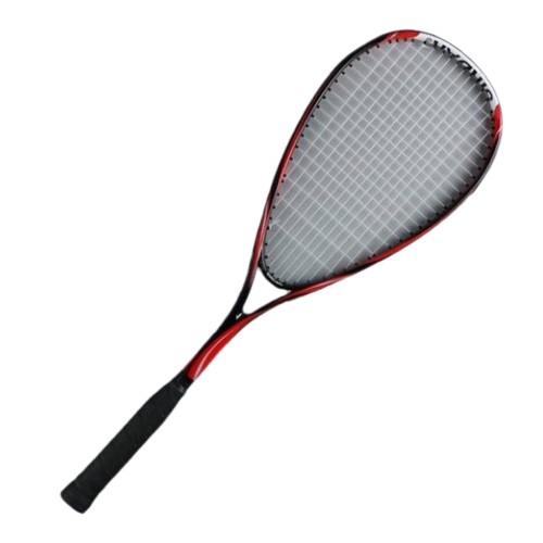 ���Ʈ�� ź�� �ʰ淮 �����ö��� ���� SIRDAR