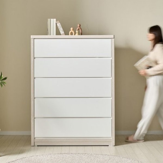 텐스페이스 위즈 WH5103R 5단 대형 서랍장 1000_이미지