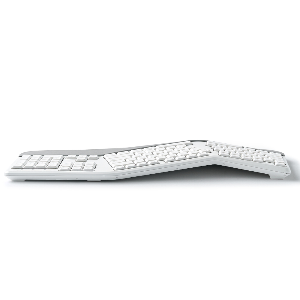 ���̸��� EQwear-ERGO WAVE EW3 ����