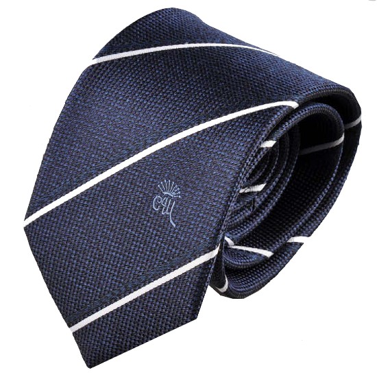 Ŭ������ ī���׽����� ��Ʈ������ ��Ÿ�� CNSR3S1102N1