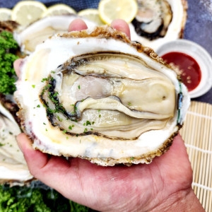 위플러스온 거제도 해녀 자연산 바위굴 10kg [1개]