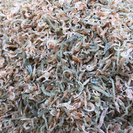 신건호멸치 밥새우 섞인 지리멸치 1kg (1개)_이미지