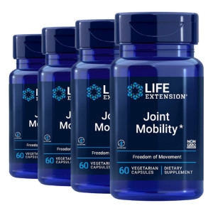 �������ͽ��ټ� ����Ʈ �����Ƽ 60ĸ��