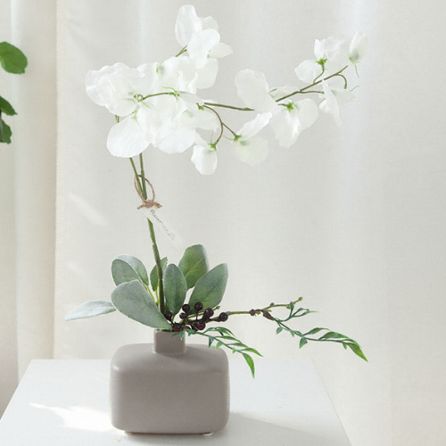 �ö��Ʈ�� ��ũ����Ʈȭ����Ʈ 40cm