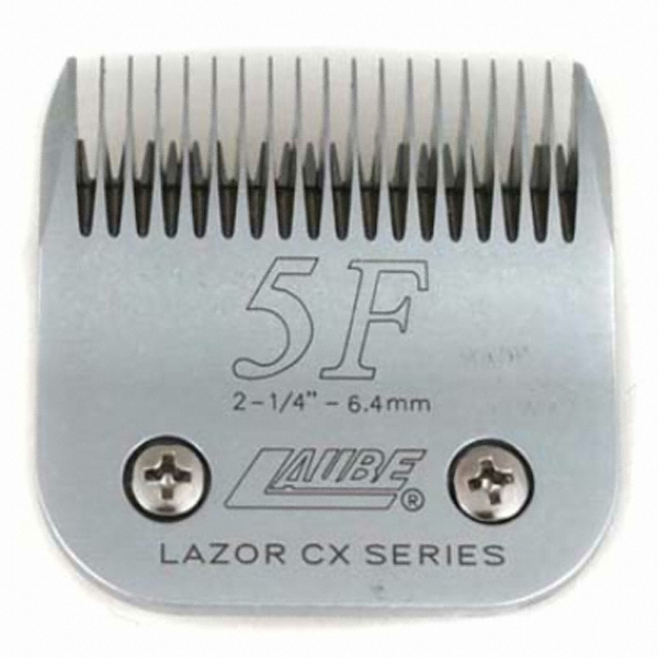 리케이 킴라베 교체날 (5번, 5F)_이미지