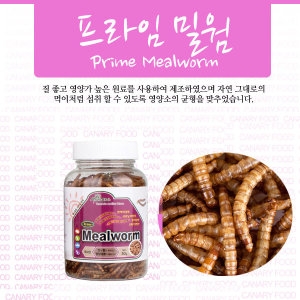 ������ �ִϸ���  ������ �п�   �п�.��������п�
