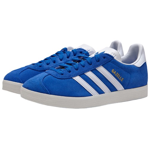 �Ƶ�ٽ� ���� IG2093