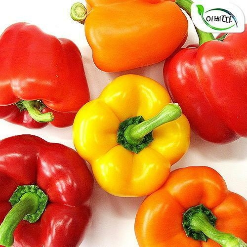 국내산 파프리카 3kg