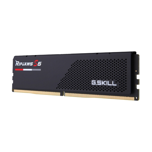 G.SKILL DDR5-6000 CL36 RIPJAWS S5 블랙 (16GB)_이미지