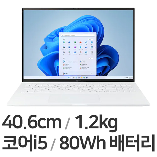 LG전자 2022 그램16(12세대) 16Z90Q-GA5WK (SSD 256GB)