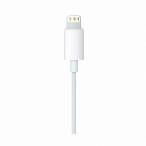 APPLE 이어팟 라이트닝 MMTN2ZP/A (해외구매)_이미지