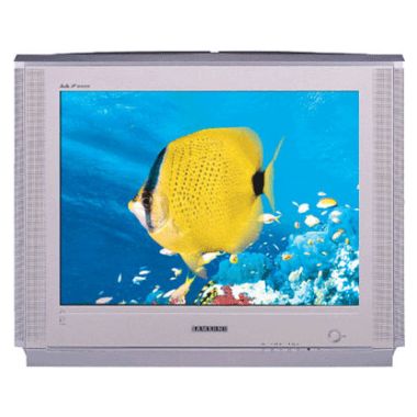 삼성전자 명품 CT-21M6V