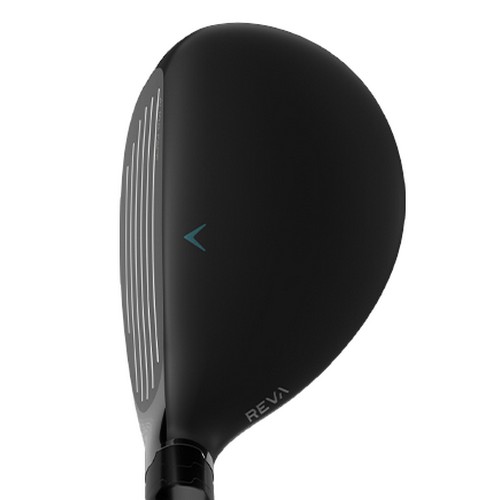 Ķ������ ���� ������ ������ ���̺긮��