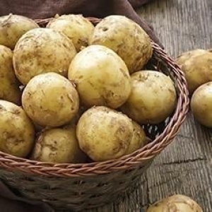 넛파인 국내산 포슬포슬 햇 수미감자 특 10kg (1개)_이미지