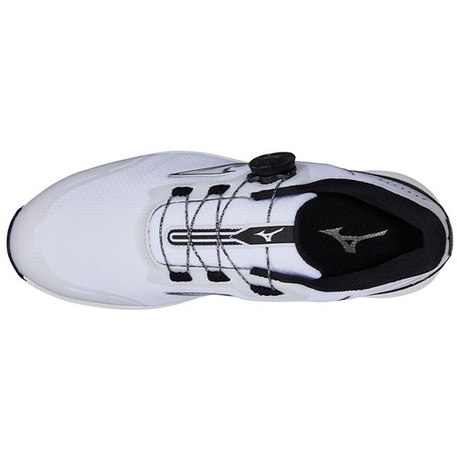 ����� �ؽ�����Ʈ ���� 51GM2206-01