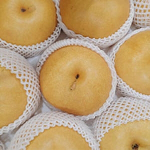 전남 나주 가정용 흠집배 13~15과 중과 7.5kg