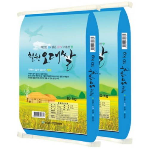 �񿥹̰� 2026 �ݽ� ö�� ����� 10kg