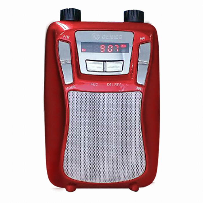 대영음향 DY-300R