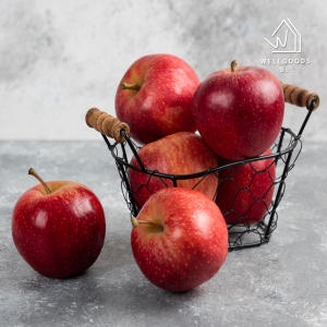 ���� ��� �ֽ����� ������ 10kg