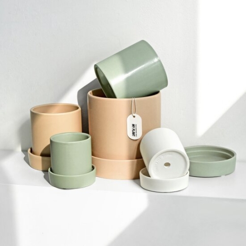 마이플랜트 원형 무광 세라믹 화분 8호 받침SET이미지입니다. 누르면 해당 게시물로 새창이동합니다.