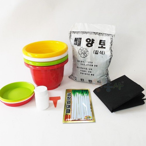 ����� �Դ���Ű��� 7��