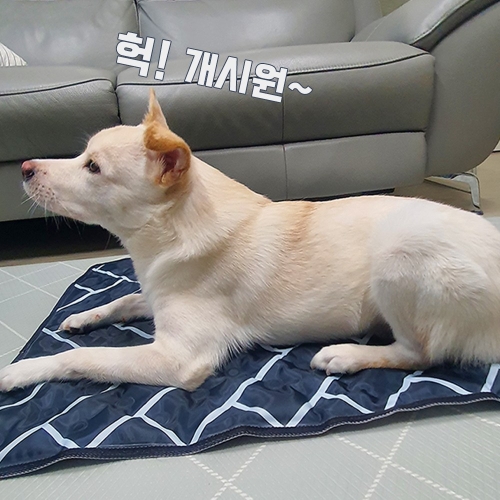 똘멍 쿨쿨매트 XL_이미지