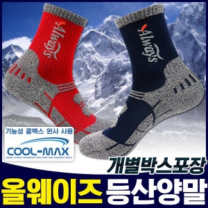 로베르토 올웨이즈 등산양말 케이스/쿨맥스/Coolmax 세트_이미지