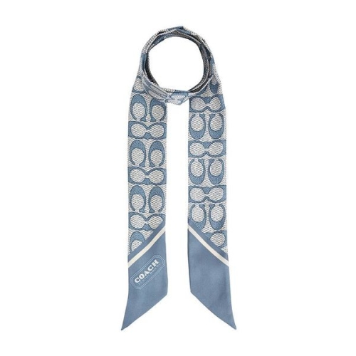 �ñ״�ó ���� ��ũ ��Ű�� ��ī�� C2783 LDE 151329799